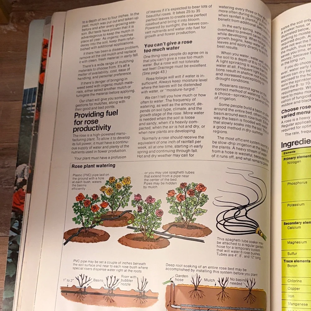 All About Roses - Pink - Picture 6 of 6